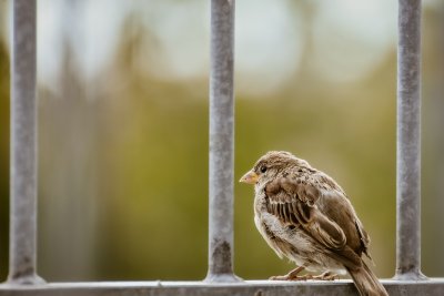 Hoe bescherm jij je bedrijfspand?